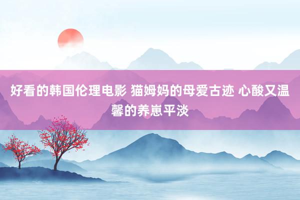 好看的韩国伦理电影 猫姆妈的母爱古迹 心酸又温馨的养崽平淡