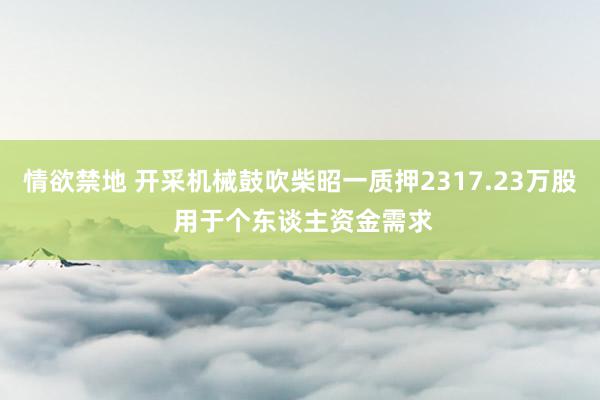 情欲禁地 开采机械鼓吹柴昭一质押2317.23万股 用于个东谈主资金需求