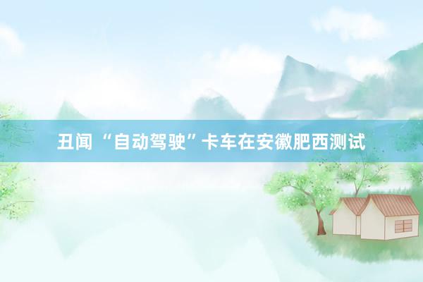 丑闻 “自动驾驶”卡车在安徽肥西测试