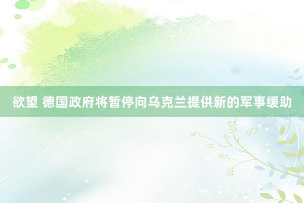 欲望 德国政府将暂停向乌克兰提供新的军事缓助