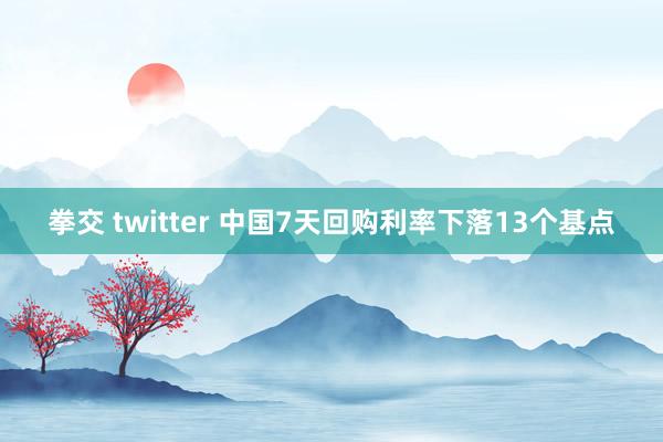拳交 twitter 中国7天回购利率下落13个基点
