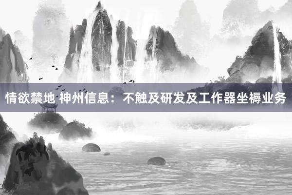 情欲禁地 神州信息：不触及研发及工作器坐褥业务