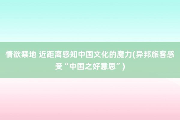 情欲禁地 近距离感知中国文化的魔力(异邦旅客感受“中国之好意思”)